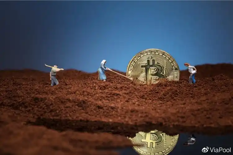 A close-up of the Litecoin L9 miner in action, showcasing its robust hardware amid pricing fluctuations